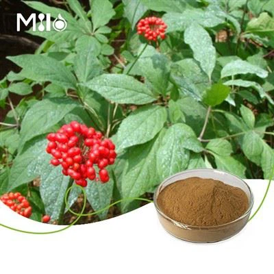 Ashwagandha korijen ekstrakt prah