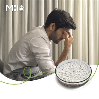 Gamma oryzanol u prahu